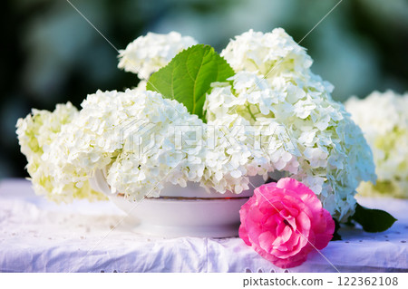 A spring background with a white branch of a blooming hydrangea and a delicate rose on a background of greenery. A spring background with a white branch of a blooming hydrangea and a delicate rose on a background of greenery. 122362108