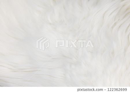 Full frame cat hair Full frame cat hair 122362699