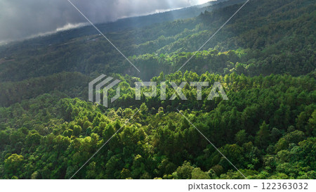 A Majestic and Enchanting Forest Landscape Infused with Warm Sunlight and Soft Clouds 122363032