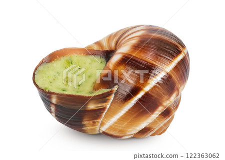 escargot snail filled with garlic and parsley butter isolated on white background escargot snail filled with garlic and parsley butter isolated on white background 122363062
