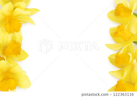 Daffodil flower or narcissus isolated on white background. Top view with copy space for your text. Flat lay Daffodil flower or narcissus isolated on white background. Top view with copy space for your text. Flat lay 122363116
