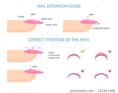 Nail extension. Professional nails maintenance manicure salon guide education diagram nail apex c-curve stress areas, aesthetic fingernails infographic tidy vector illustration 122363366