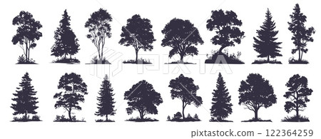 Tree silhouettes. Detailed woodland oak maple deciduous evergreen pine trees, forest landscape element set vector illustration Tree silhouettes. Detailed woodland oak maple deciduous evergreen pine trees, forest landscape element set vector illustration 122364259