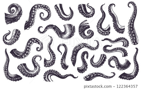 Engraving octopus tentacles. Hand drawn squid monster limbs with sucker, sea ocean kraken set vector illustration 122364357