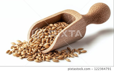 Wheat seeds in wooden scoop isolated on white background with clipping path 122364791