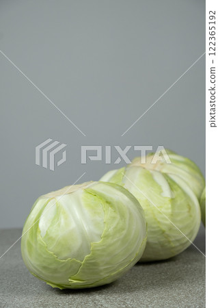 Whole heads of fresh white cabbage, place for text Whole heads of fresh white cabbage, place for text 122365192