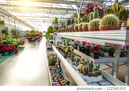 A beautiful space with flowers and green plants decorations 122365352