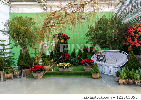 A beautiful space with flowers and green plants decorations A beautiful space with flowers and green plants decorations 122365353