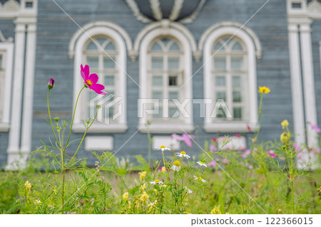 Delicate pink cosmos and white chamomile blossoming near weathered wooden russian cottage with ornate arched windows Delicate pink cosmos and white chamomile blossoming near weathered wooden russian cottage with ornate arched windows 122366015