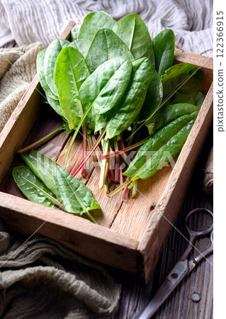 Fresh organic sorrel leaves in wooden box with scissors Fresh organic sorrel leaves in wooden box with scissors 122366915