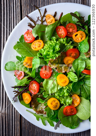 Top view of vegetarian salad from mix of salad greens Top view of vegetarian salad from mix of salad greens 122366930
