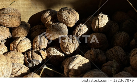 Sunlight filtering through a nearby window casts gentle shadows on a collection of walnuts resting in a wooden box, enhancing the rustic charm of the cozy indoor space. 122367079