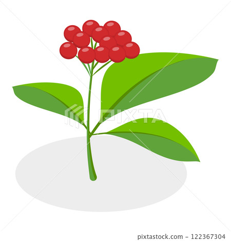 3D Isometric Flat Vector Set of Berries, Healthy Detox Natural Products. Item 3 122367304