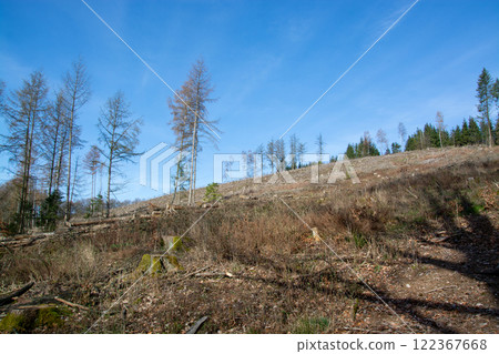 Wood quarry in Sauerland, Germany Wood quarry in Sauerland, Germany 122367668