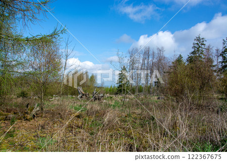 Wood quarry in Sauerland, Germany Wood quarry in Sauerland, Germany 122367675
