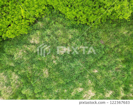 Landscape Mecklenburg Lake District, Mecklenburg-West Pomerania, Germany 122367683