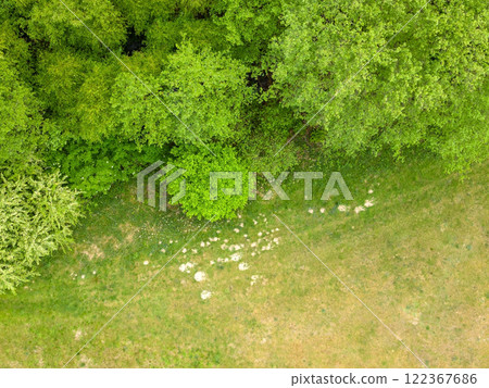 Landscape Mecklenburg Lake District, Mecklenburg-West Pomerania, Germany 122367686