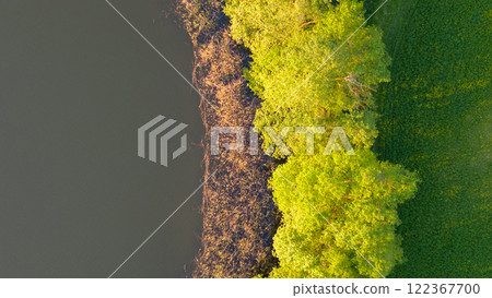 Great Pleetsch Lake near Diemitz, Germany 122367700