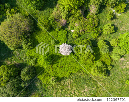Landscape Mecklenburg Lake District, Mecklenburg-West Pomerania, Germany 122367701