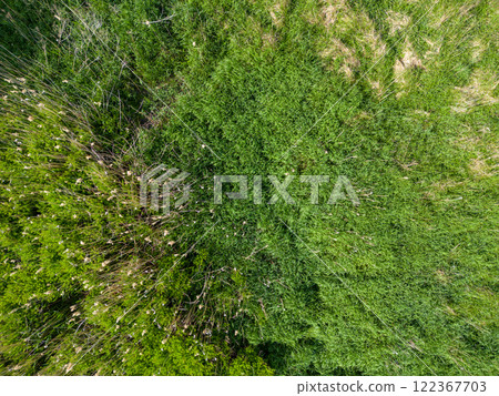 Landscape Mecklenburg Lake District, Mecklenburg-West Pomerania, Germany 122367703