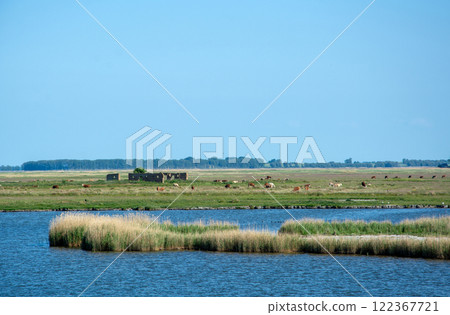 Barther Bodden near Zingst, Germany 122367721