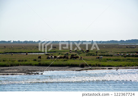 Barther Bodden near Zingst, Germany Barther Bodden near Zingst, Germany 122367724