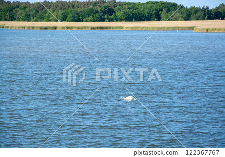 Barther Bodden near Zingst, Germany Barther Bodden near Zingst, Germany 122367767