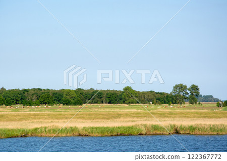 Barther Bodden near Zingst, Germany Barther Bodden near Zingst, Germany 122367772