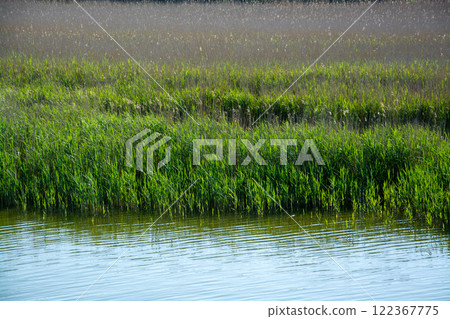 Barther Bodden near Zingst, Germany 122367775