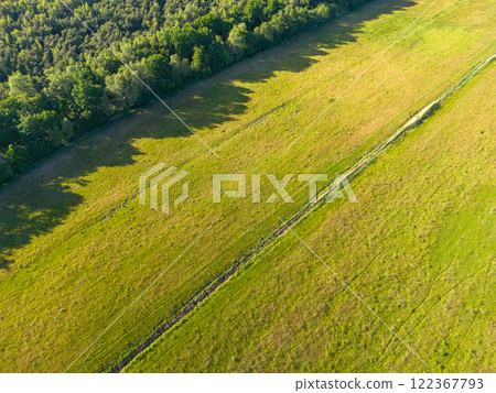 Meadow in the Municipality of Zingst, Germany Meadow in the Municipality of Zingst, Germany 122367793