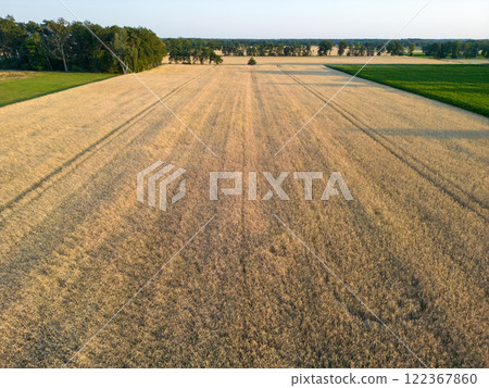 Aerial view of a Grain Field with Triticale Aerial view of a Grain Field with Triticale 122367860