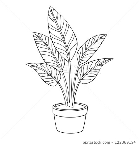 Calathea in pot doodle style line art. Coloring page Hand drawn black and white 122369154