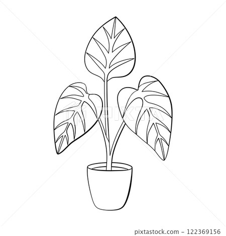 Alocasia in pot doodle style line art. Coloring page Hand drawn black and white Alocasia in pot doodle style line art. Coloring page Hand drawn black and white 122369156