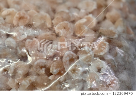 Frozen peeled white shrimp in a transparent bag in the supermarket refrigerator. Close-up Frozen peeled white shrimp in a transparent bag in the supermarket refrigerator. Close-up 122369470