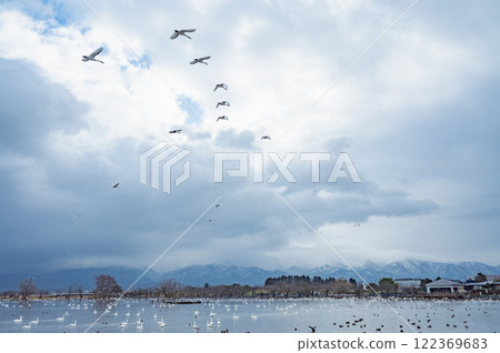 Niigata Morning Hyoko Lake (Agano City) 122369683