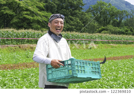 Farmer harvesting lettuce 122369810