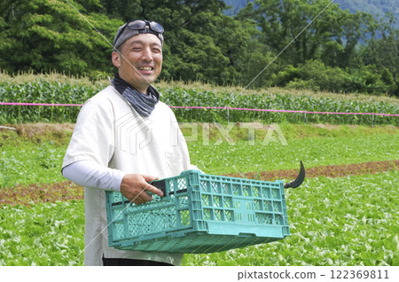 Farmer harvesting lettuce 122369811