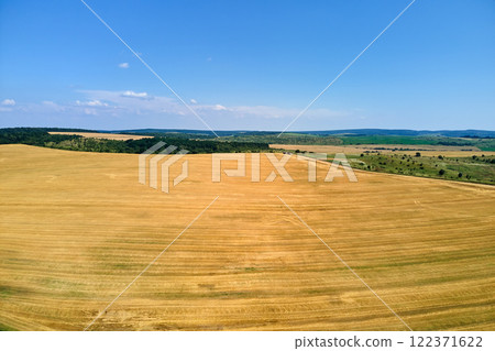 Aerial landscape view of yellow cultivated agricultural field with dry straw of cut down wheat after harvesting Aerial landscape view of yellow cultivated agricultural field with dry straw of cut down wheat after harvesting 122371622