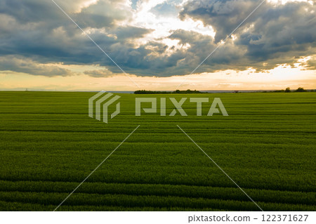 Aerial landscape view of green cultivated agricultural fields with growing crops on bright summer evening. Aerial landscape view of green cultivated agricultural fields with growing crops on bright summer evening. 122371627
