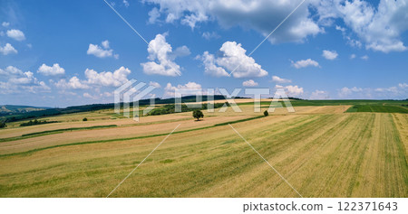Aerial landscape view of green and yellow cultivated agricultural fields with growing crops on bright summer day 122371643