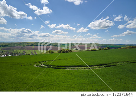 Aerial landscape of green farmland in summer season with growing crops. Agricultural cultivated field. Farming and agriculture industry 122371644