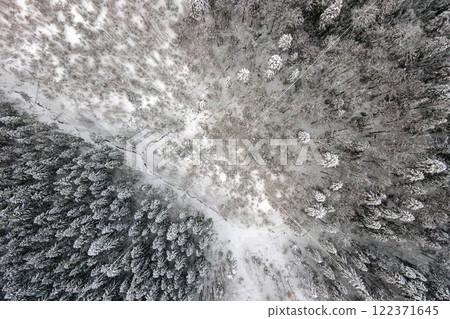 Aerial foggy landscape with evergreen pine trees covered with fresh fallen snow after heavy snowfall in winter mountain forest on cold quiet evening. 122371645