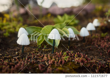 Charming Miniature White Mushrooms Set Amidst a Beautiful Lush Green Landscape, Naturally Appealing 122371677