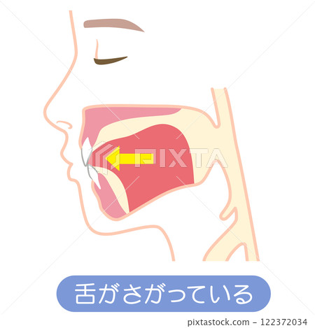 舌頭放低的位置 舌頭放低的位置 122372034