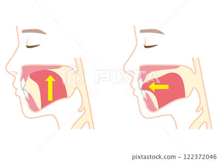 Correct and lowered tongue position - Mewing 122372046