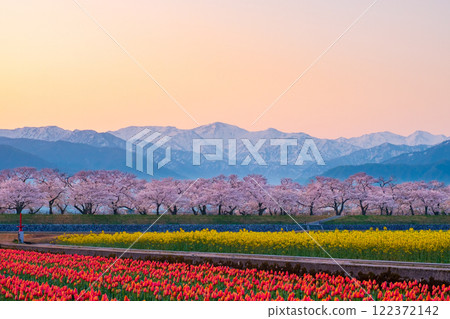 Asahi Funakawa Spring Quartet 122372142