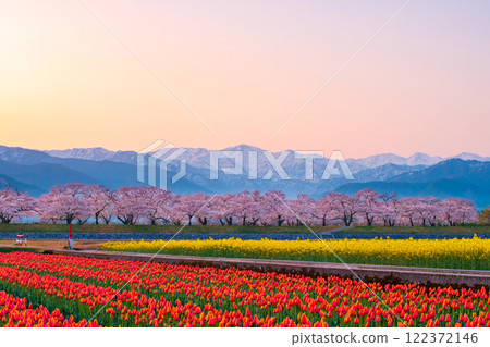 Asahi Funakawa Spring Quartet Asahi Funakawa Spring Quartet 122372146