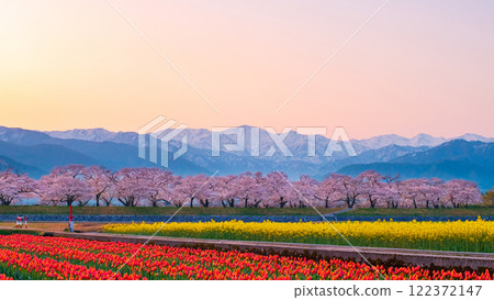 Asahi Funakawa Spring Quartet 122372147