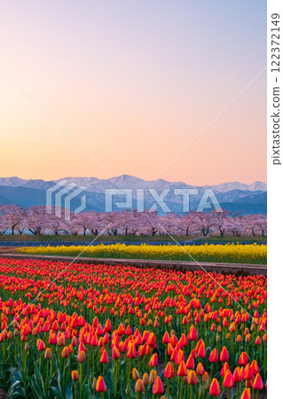 朝日船川春天四重奏 朝日船川春天四重奏 122372149