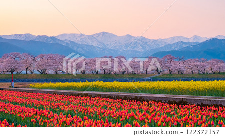 Asahi Funakawa Spring Quartet 122372157